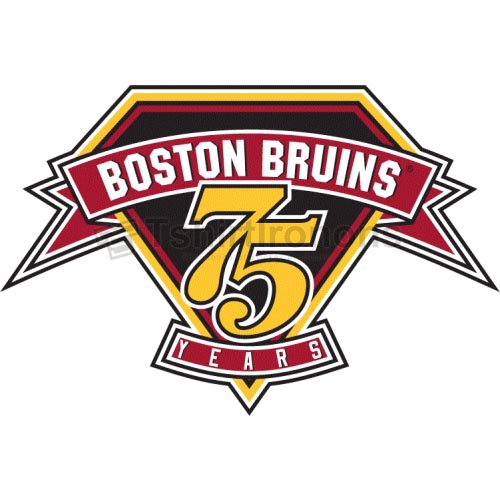 Boston Bruins T-shirts Iron On Transfers N74